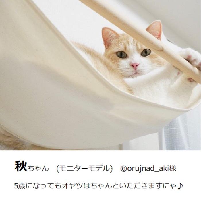 animacolle 【キャットハンモック】キャットタワー キャット animacolle 【キャットハンモック】キャットタワー キャット