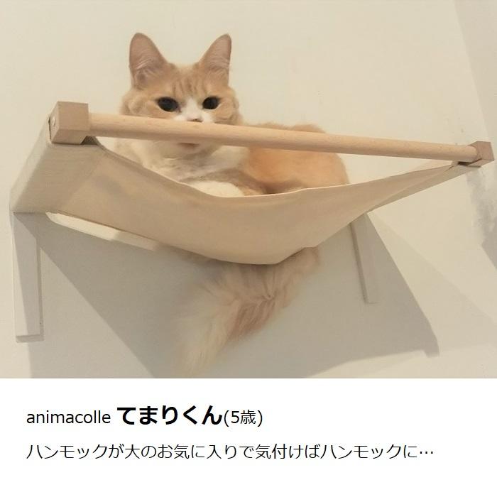 animacolle 【キャットハンモック】キャットタワー キャット animacolle 【キャットハンモック】キャットタワー キャット