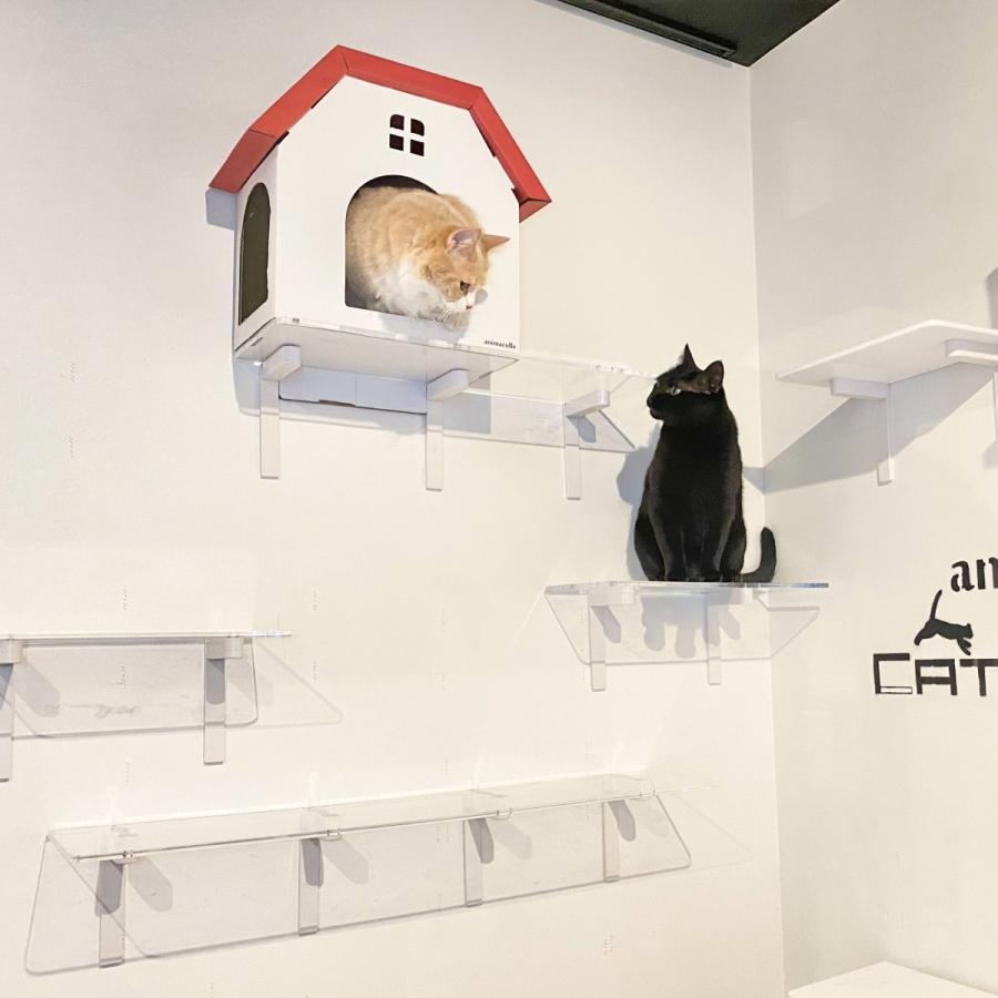 animacolle キャットタワー キャットウォーク キャットステップ