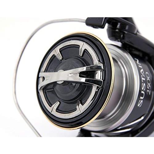 シマノ(SHIMANO) スピニングリール 17 サステイン C3000HG シーバス ライトジギング 