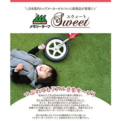 高品質 形状記憶 人工芝 メモリーターフ スウィート 巾1m×長さ10m(芝の長さ20mm) MTS20-0110 