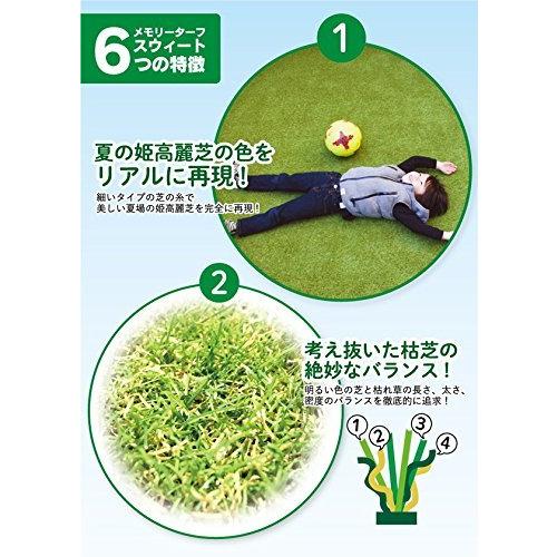 高品質 形状記憶 人工芝 メモリーターフ スウィート 巾1m×長さ10m(芝の長さ20mm) MTS20-0110 