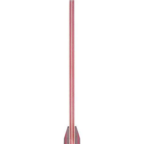 STIGA(スティガ) 卓球 ラケット クリッパーウッド 102015 MJP IQY1201097976(10688円)