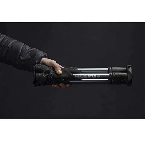 HILLSOUND（ヒルサウンド） BTR スツール 17 アルペングロー 17インチ テーブル、チェア、ハンモック T1158464314(10309円)