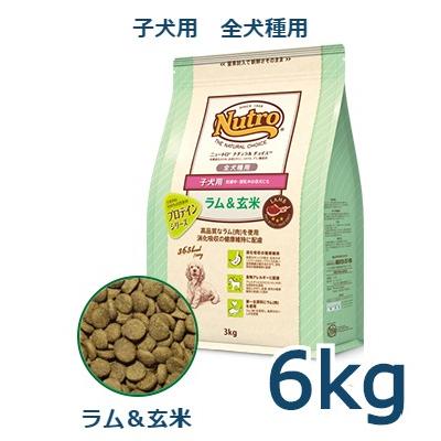 ニュートロ ナチュラルチョイス 子犬 ・母犬用 6キロ