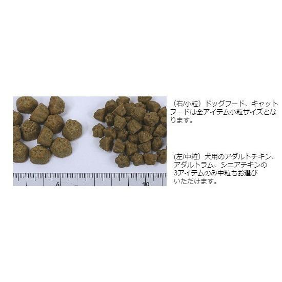 ロータス グレインフリー フィッシュレシピ 小粒 5kg : アニマル
