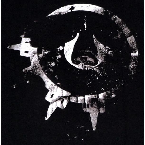 ARCH ENEMY アーチエネミー Doomsday Machine Black T-Shirt オフィシャル バンドＴシャツ 1梱包2枚までメール便対応可｜animal-rock｜04