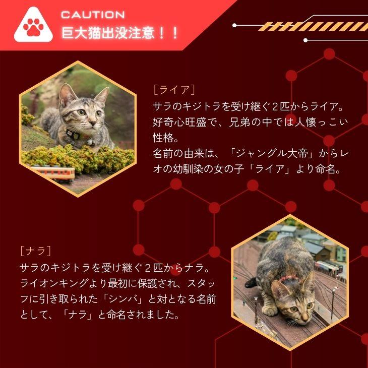 ジオラマ食堂 チャリティー バッグ シルエット アウトドア 保護ネコ 支援 かばん ネコ 猫 ねこ イラスト ナチュラル ブラック 黒 / ジオラマシルエット バッグ | Printstar | 14