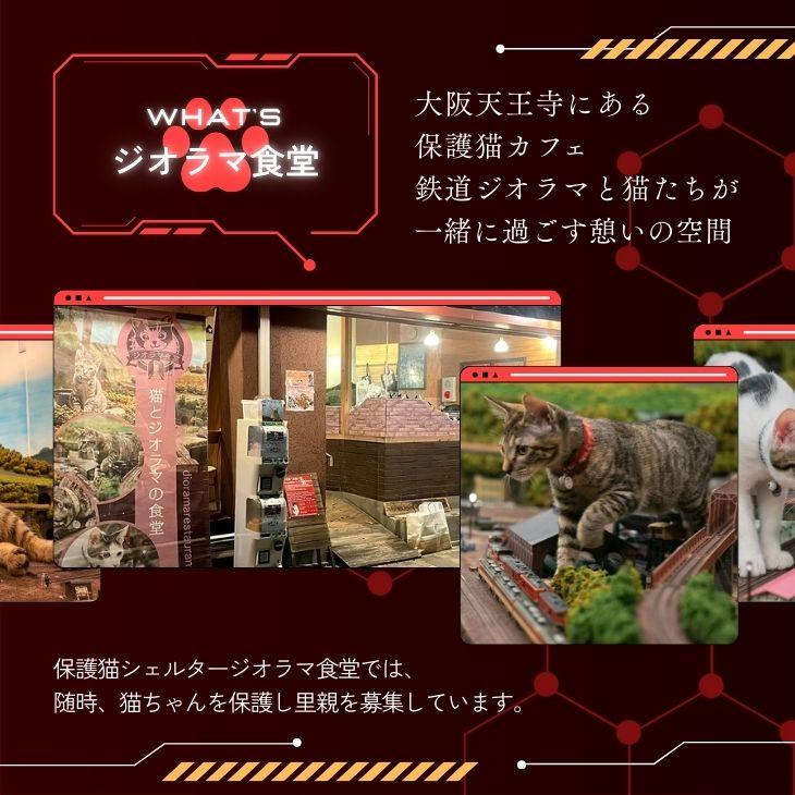 ジオラマ食堂 チャリティー Tシャツ 保護ネコ 支援 半袖Tシャツ ネコ 猫 白 T ホワイト / ジオラマ食堂本店ロゴ 半T | Printstar | 11