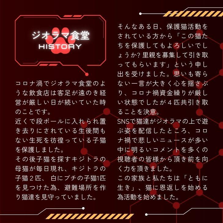 ジオラマ食堂 チャリティー Tシャツ 保護ネコ 支援 半袖Tシャツ ネコ 猫 白 T ホワイト / ジオラマ食堂本店ロゴ 半T | Printstar | 12