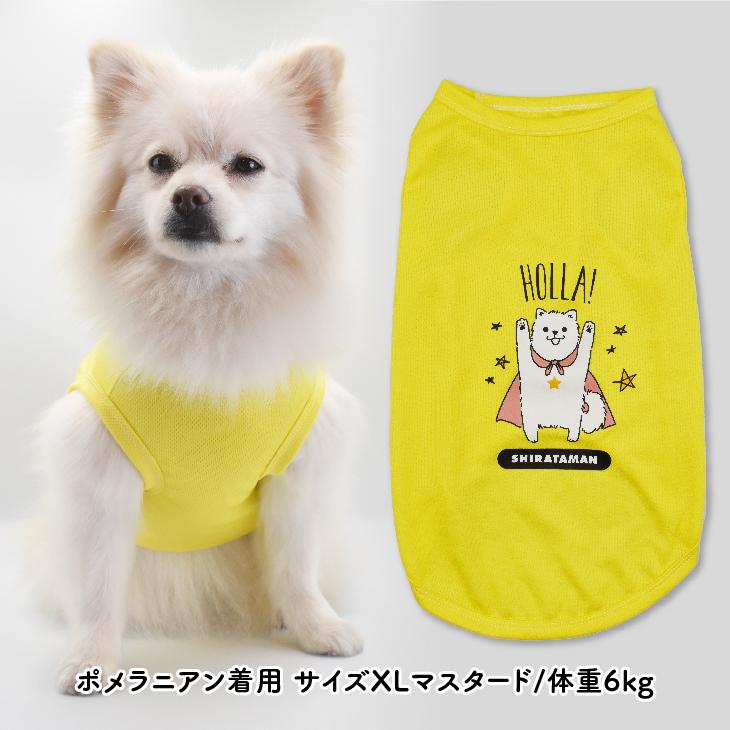 たまごグラフィックス 犬服 犬 ペット服 ペット タンクトップ 名入れ