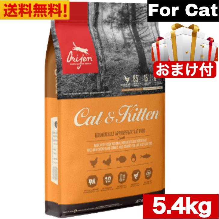 送料無料】ORJEN オリジン オリジナル キャット （旧 キャット