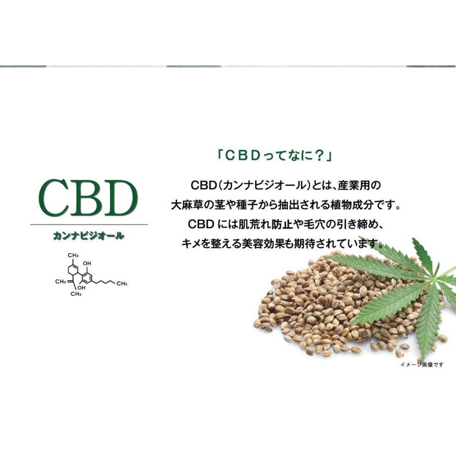 CBD マルチバーム カンナビジオール CICA シカ ヒトカン ヒト幹細胞 リップケア エイジングケア リチラック 20g｜animato066210｜06