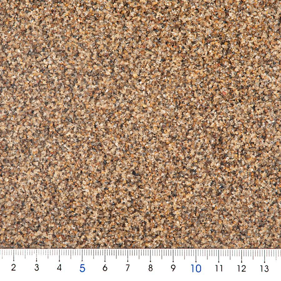 シンセー 津軽プレミアム 1．5kg : Animaux mignons - 通販