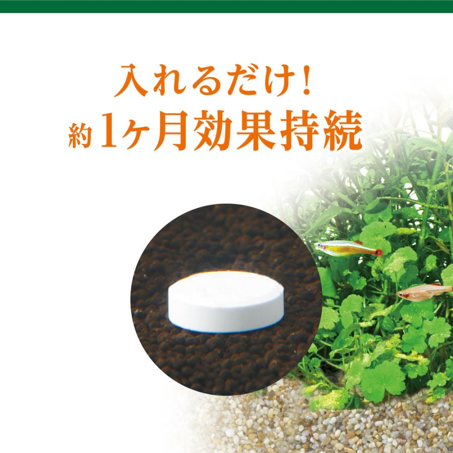GEX（ジェックス） MeGreen 水草を育てるCO2ブロック 10個入