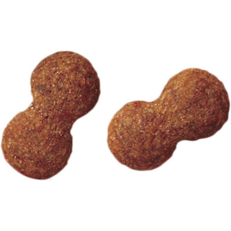 プロマネージ 成犬用 トイプードル専用 4kg : Animaux