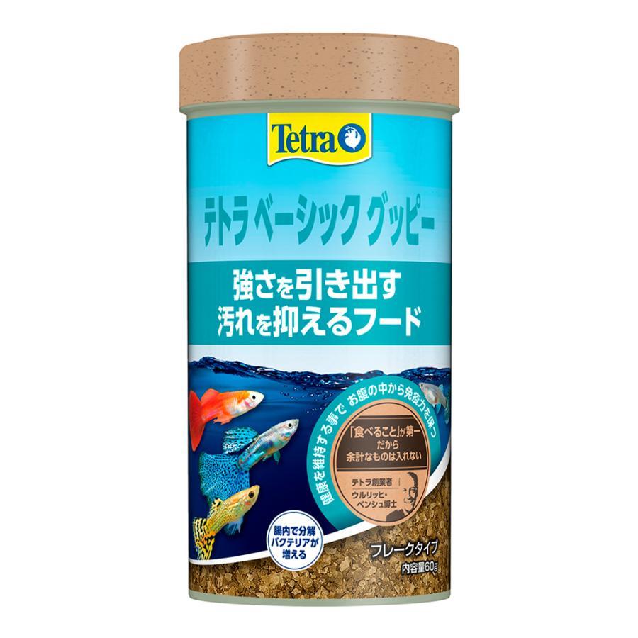 TETRA テトラ　ベーシック　グッピー　ミニフレーク　60g 7個 Tetra（テトラ） ベーシック グッピー 60g : アニマルミニョン
