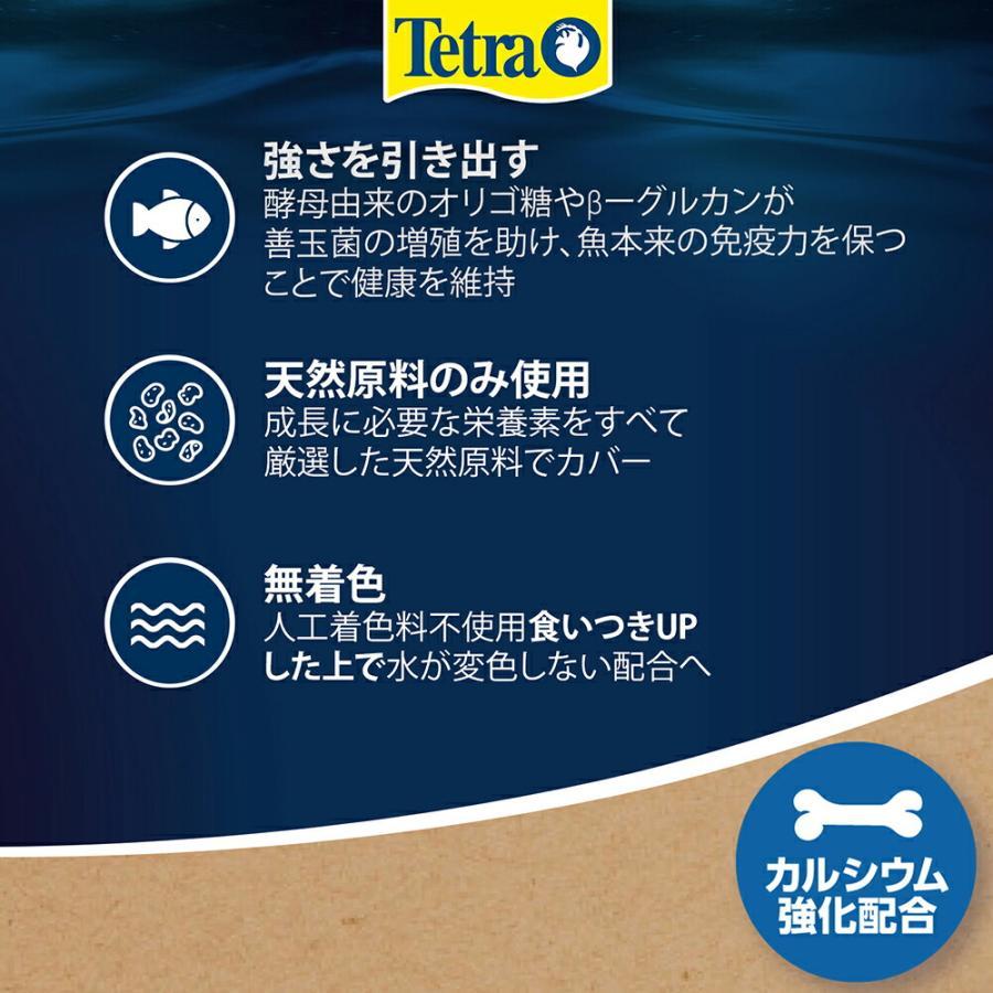 Tetra（テトラ） 金魚時間 和金系・育成 特小粒 85g : アニマル