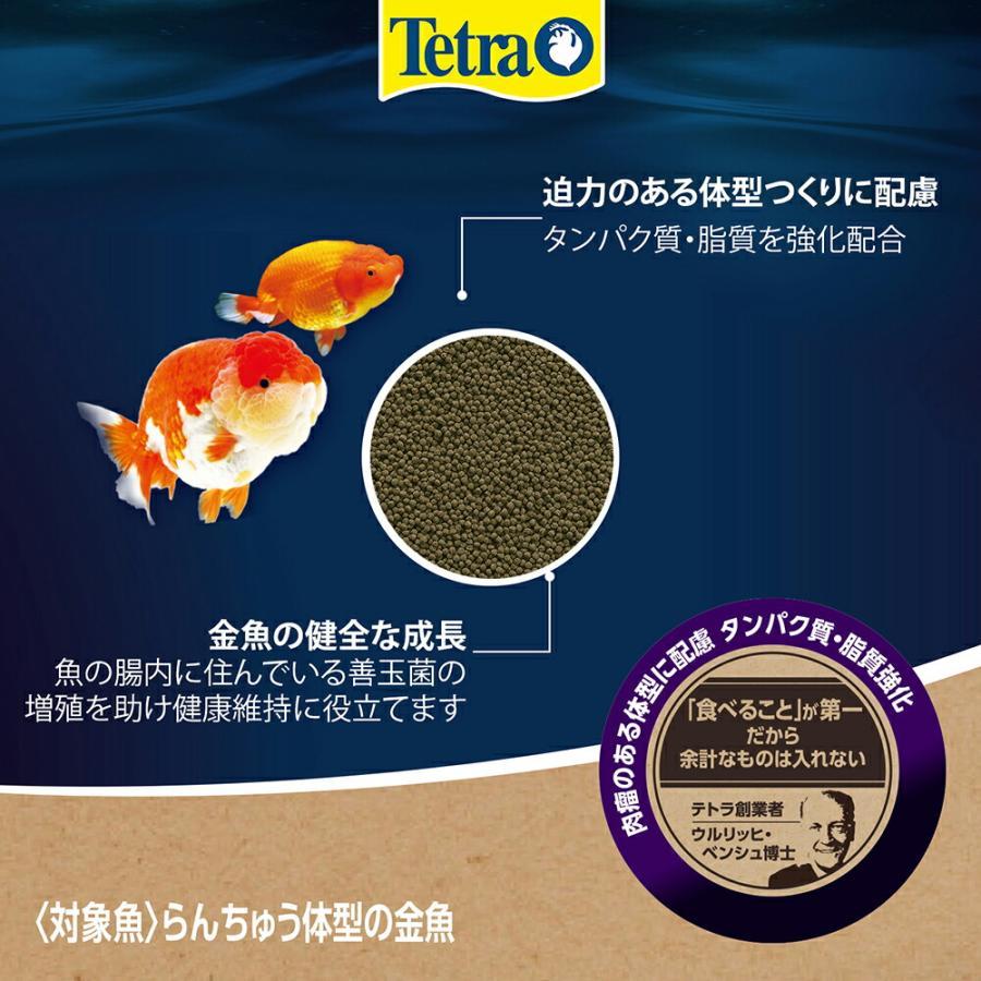 Tetra（テトラ） 金魚時間 らんちゅう系・増体 小スティック 100g