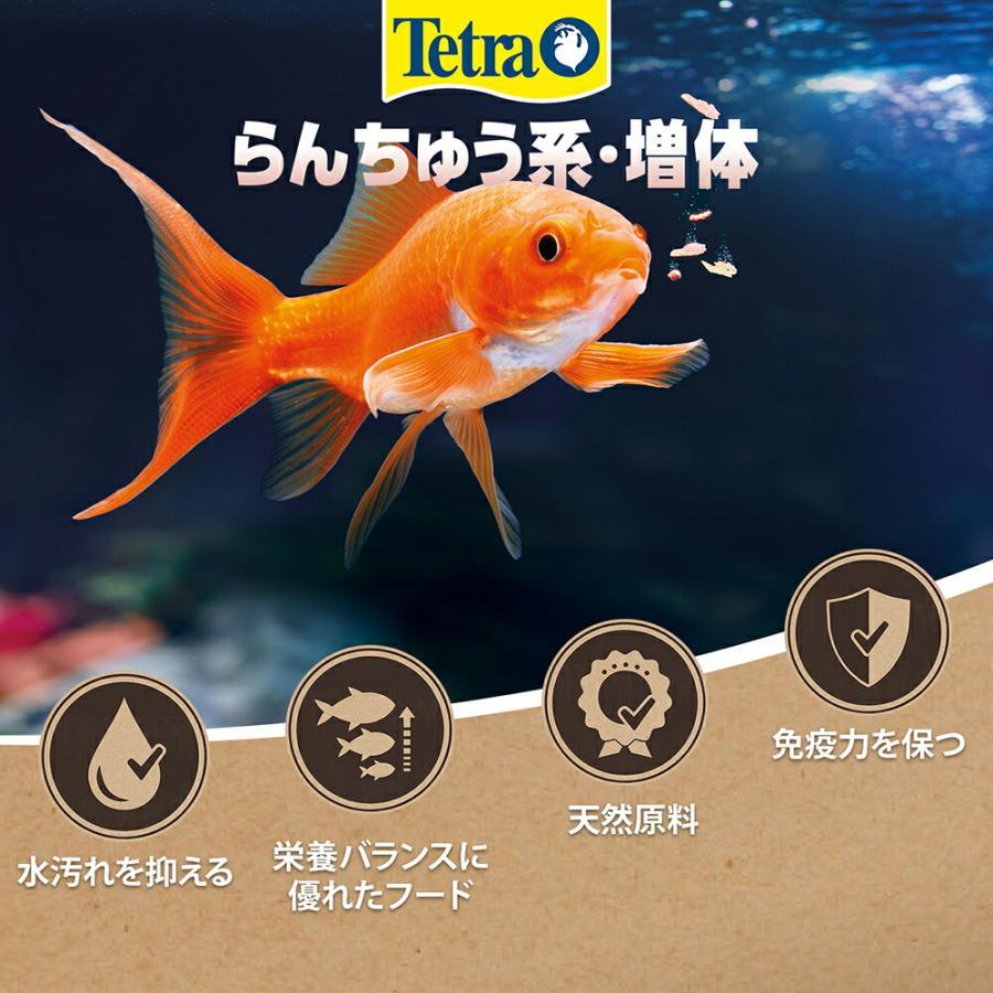 Tetra（テトラ） 金魚時間 らんちゅう系・増体 小スティック 100g