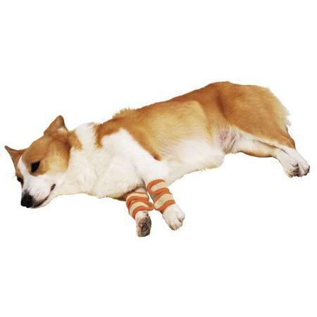 Petio（ペティオ） zuttone 老犬介護用 床ずれ予防サポーター 中