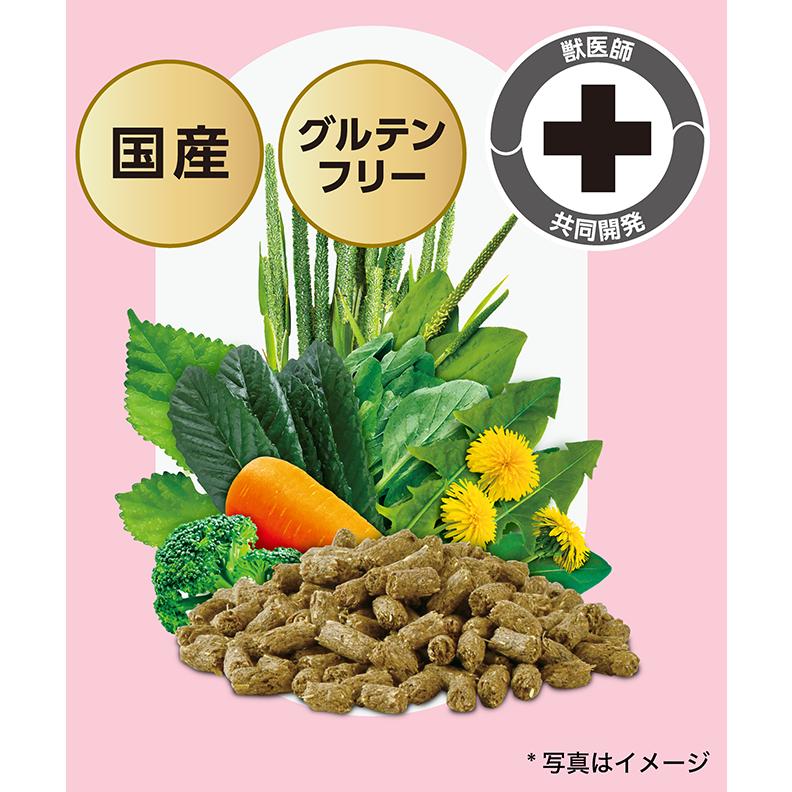 SELECTION PRO. イースター バニーセレクションプロ グロース 900g