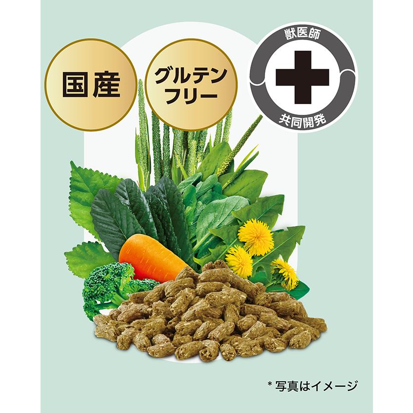 SELECTION PRO. イースター バニーセレクションプロ メンテナンス