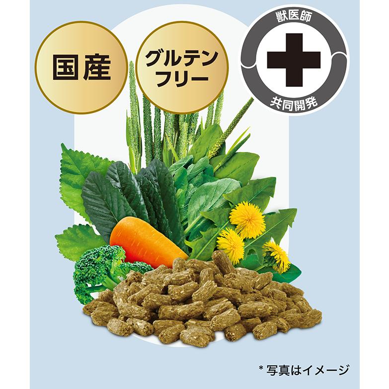 SELECTION PRO. イースター バニーセレクションプロ ニュートリション