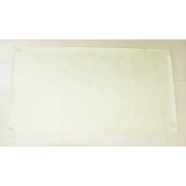 超歓迎 高級越前和紙 和紙 手漉き 伝統工芸品 巧みの技 約100cm 0cm 福井県越前市 襖やタペストリーなどに 十一 高い品質 Orientalweavers Com