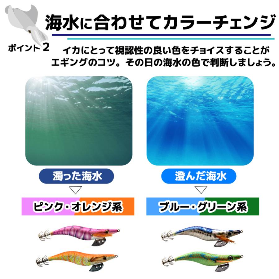 エギング セット 2.5号 3号 3.5号 仕掛け 釣り具 餌木 初心者 おすすめ 夜光 ケース付 10本入り｜anitcho｜05