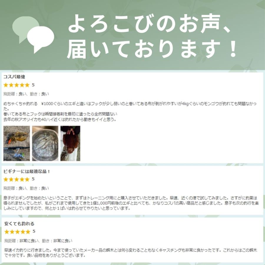 エギング セット 2.5号 3号 3.5号 仕掛け 釣り具 餌木 初心者 おすすめ