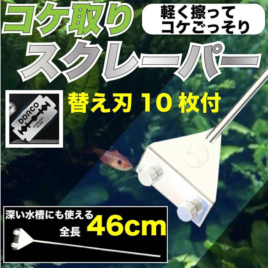 コケ取り スクレーパー 苔取り 水槽 替え刃 アクアリウム プロレイザー 水草 苔 掃除 クリーナー 水槽用品