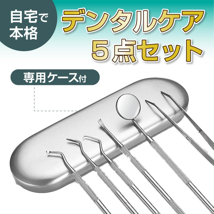 歯石取り 歯石とり スケーラー 歯石除去 ケース セット ヤニ オーラル デンタル ペット ステンレス 歯垢 除去 オーラル デンタル 口腔 ケア | 