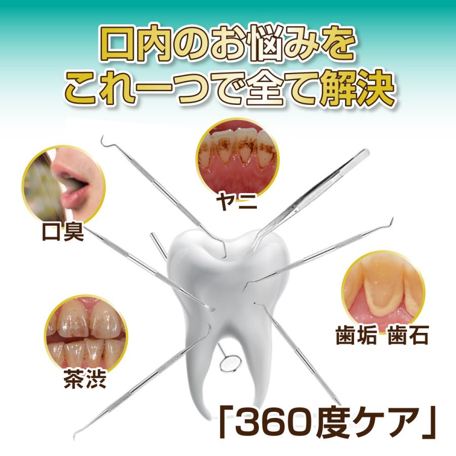 歯石取り 歯石とり スケーラー 歯石除去 ケース セット ヤニ オーラル デンタル ペット ステンレス 歯垢 除去 オーラル デンタル 口腔 ケア |  | 01