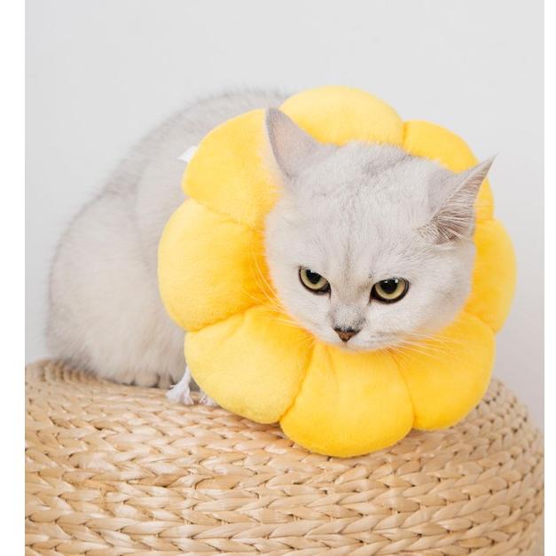 エリザベスカラー 猫 犬 ソフト 術後服 カラフル 犬用カラー  ペット用ソフトエリザベスカラー 嫌がる おしゃれ |  | 02