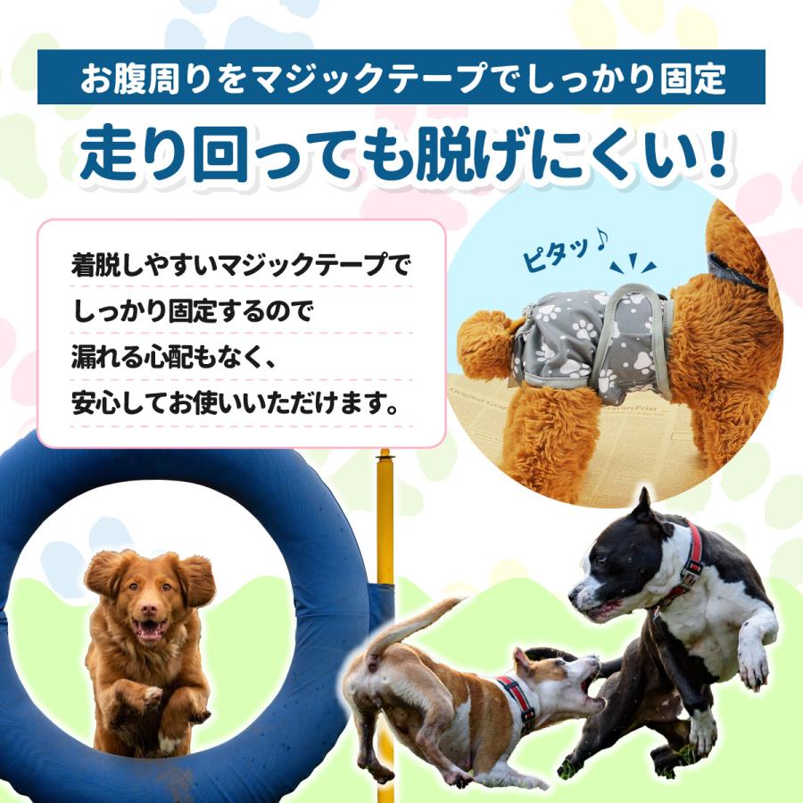 マナーパンツ 犬 オムツカバー メス マナーウェア サニタリーパンツ 犬用  マナーベルト オス ずれない 介護服 チワワ ダックス 大型犬 生理パンツ｜aniviawork｜09