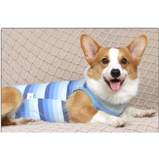 犬 術後服 エリザベスカラー 猫 犬用 術後服 メス オス 手術後 服 ボーダー 小型犬 中型犬用 ペット服 |  | 01