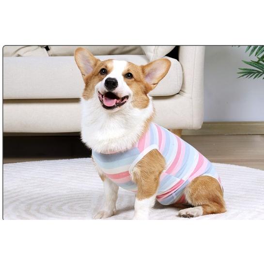 犬 術後服 エリザベスカラー 猫 犬用 術後服 メス オス 手術後 服 ボーダー 小型犬 中型犬用 ペット服 |  | 02