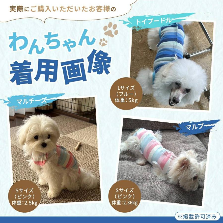犬 術後服 エリザベスカラー 猫 犬用 術後服 メス オス 手術後 服 ボーダー 小型犬 中型犬用 ペット服 |  | 05