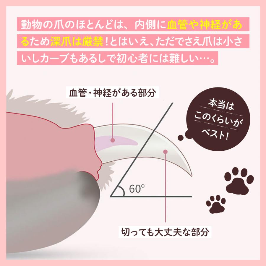 猫 爪切り 犬 ライト ペット爪切り グッズ ギロチン ニッパー はさみ 爪研ぎ 犬用 猫用 LED 犬の爪切り 猫の爪切り |  | 04