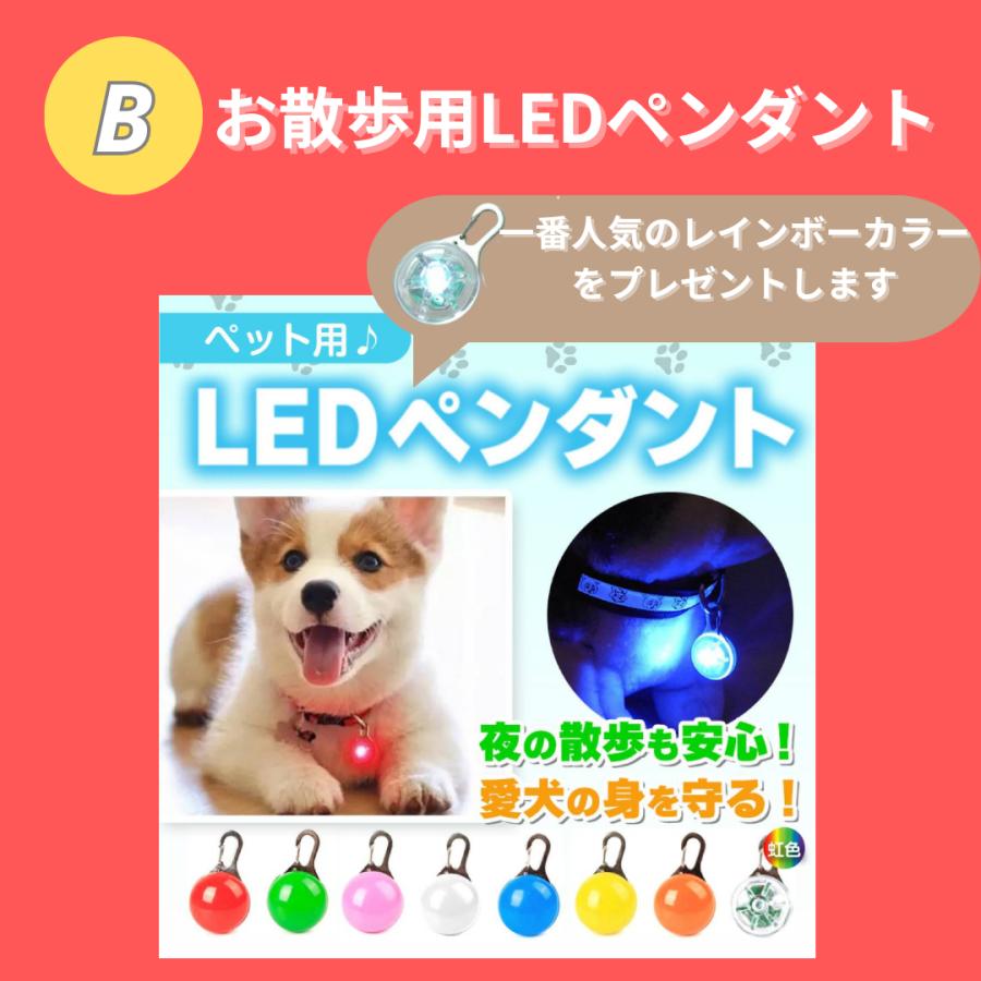 自動給餌器 犬 猫 自動餌やり機 ペット タイマー 自動 2匹 ペット