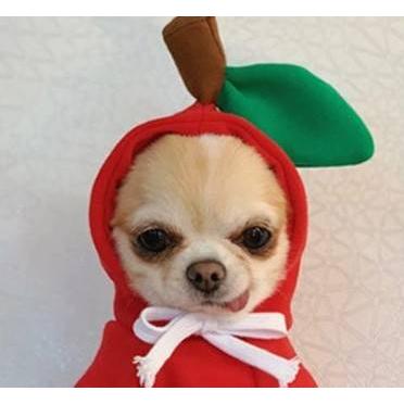 犬 服 冬服 秋 パーカー ダウン ドッグウェア 犬服 ペット服 防寒 中型犬 小型犬 フード 裏起毛 二本足設計 お散歩 かわいい |  | 01