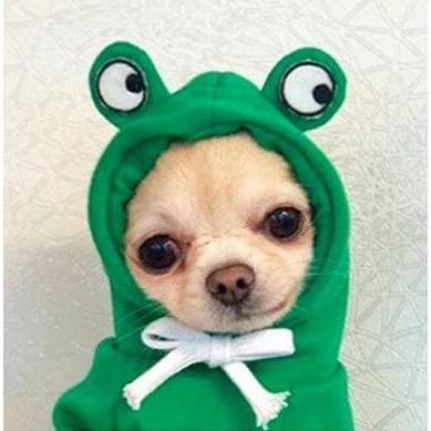 犬 服 冬服 秋 パーカー ダウン ドッグウェア 犬服 ペット服 防寒 中型犬 小型犬 フード 裏起毛 二本足設計 お散歩 かわいい |  | 03