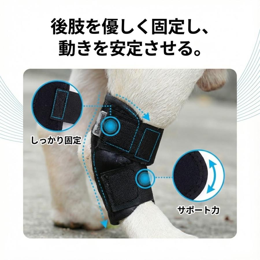 犬 サポーター 後ろ足 介護 関節サポーター 片足 老犬 後足 補助 小型犬 中型犬 シニア |  | 06