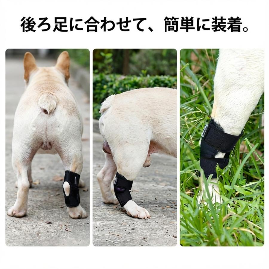 犬 サポーター 後ろ足 介護 関節サポーター 片足 老犬 後足 補助 小型犬 中型犬 シニア |  | 10