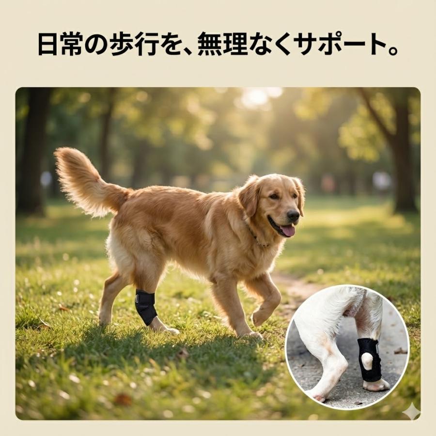 犬 サポーター 後ろ足 介護 関節サポーター 片足 老犬 後足 補助 小型犬 中型犬 シニア |  | 12