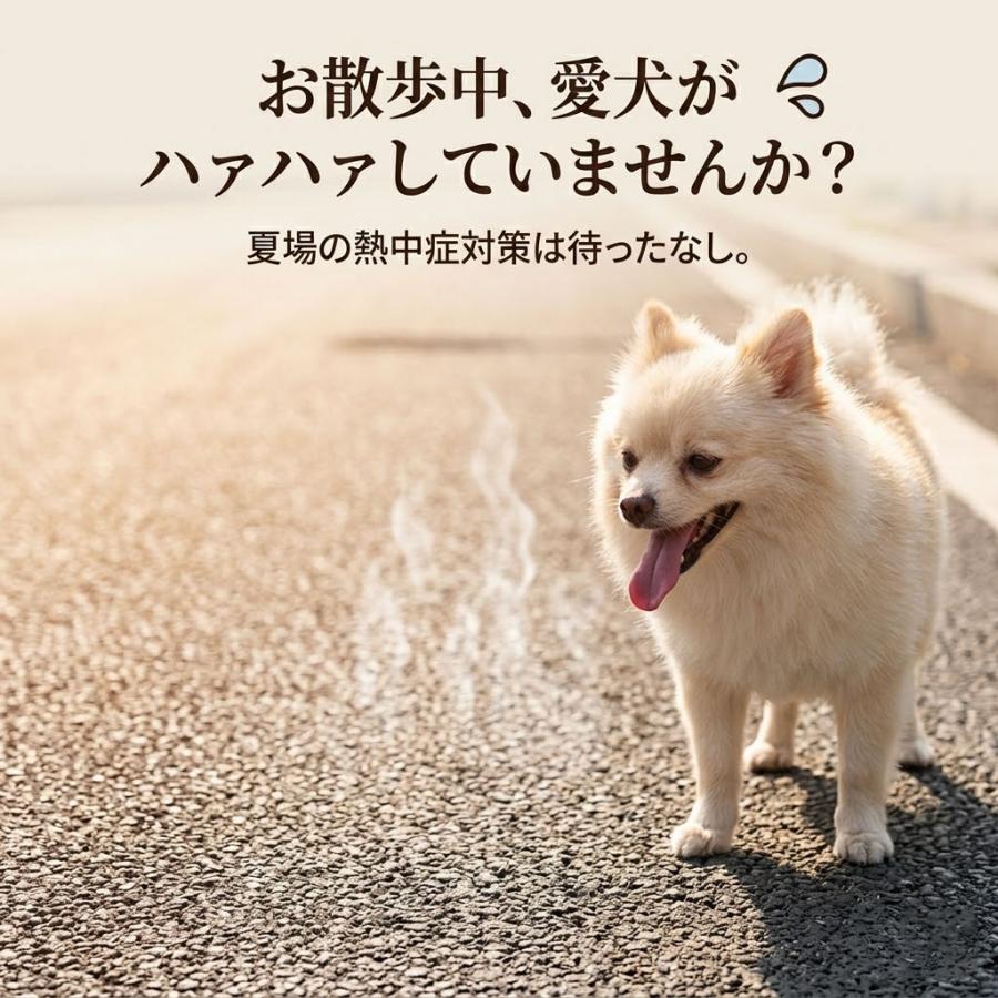 犬 水筒 水飲み 散歩 給水ボトル ペットウォーターボトル 水飲み 携帯給水ボトル 犬用 おしっこを流す |  | 10