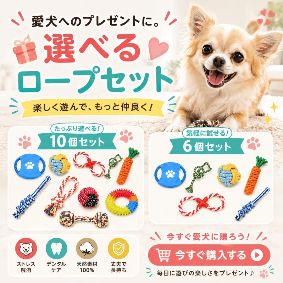 ロープトイ 犬 おもちゃ ロープ 頑丈 セット 壊れない  歯磨きトイ フリスビー ボール 投げ輪 丈夫 長持ち |  | 02