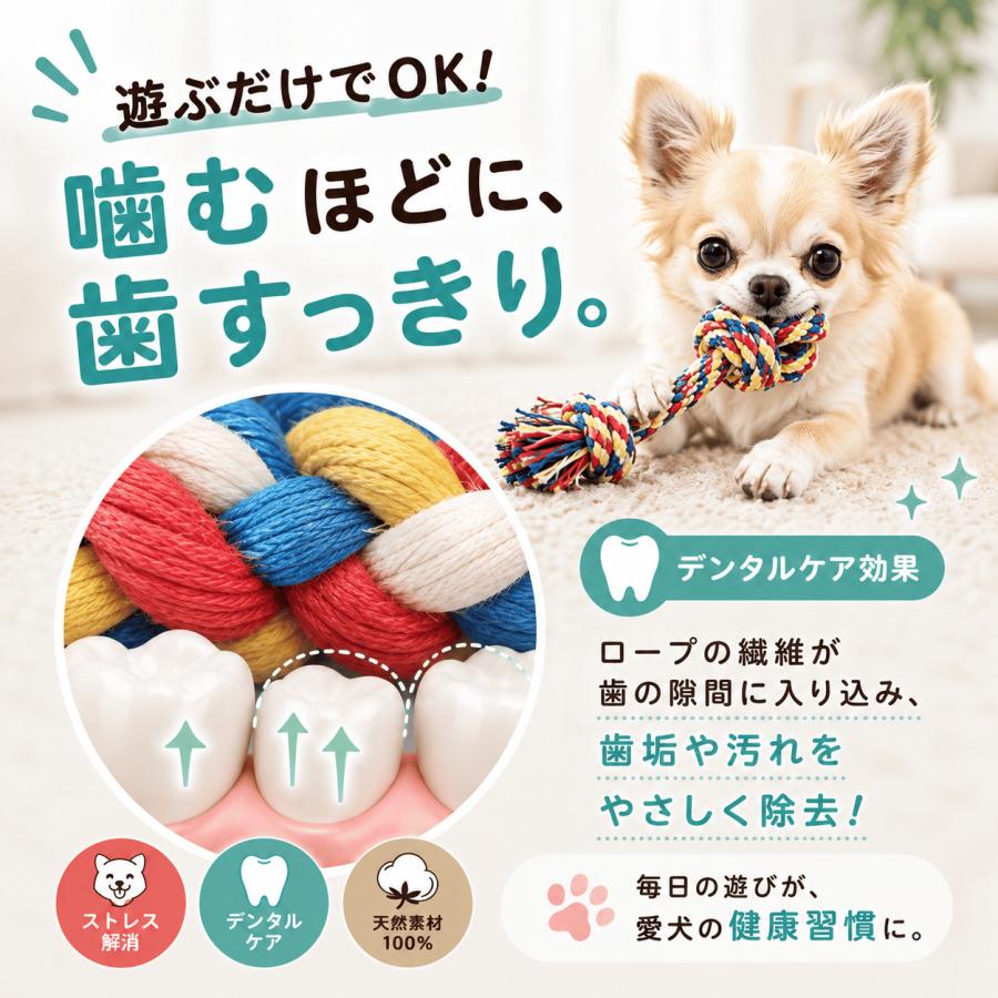 ロープトイ 犬 おもちゃ ロープ 頑丈 セット 壊れない  歯磨きトイ フリスビー ボール 投げ輪 丈夫 長持ち |  | 04