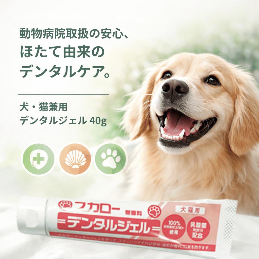 スカローデンタルジェル 歯磨きジェル ペット 犬猫用 歯石取り 歯垢除去 口臭予防 歯周病 歯みがき オーラルケア 山一化学工業 | 